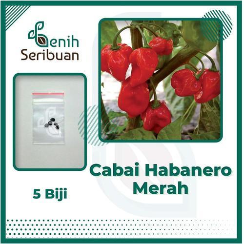 Agen Habanero 24 Jam Terbaik di Indonesia